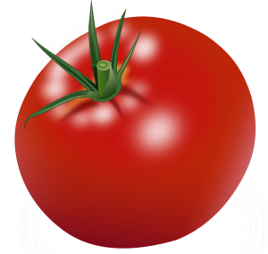 Tomato PNG-12595